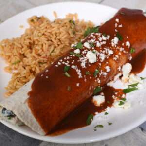 Roasted Chicken Enchilada