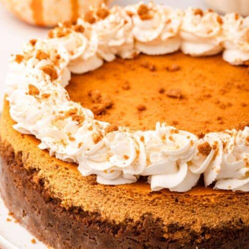 pumpkin cheesecake pumpkin cheesecake